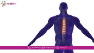 Spinal Problems Treatment in Lahore